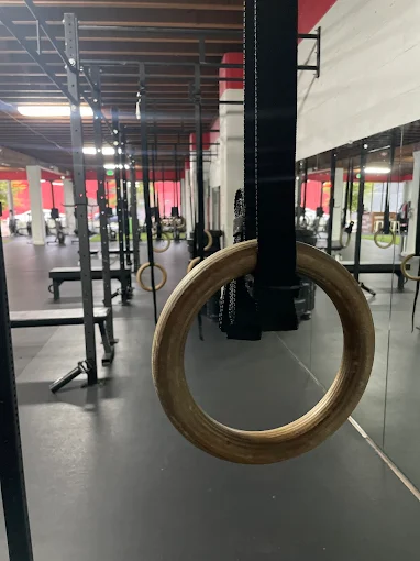 Barbell racks & Olympic rings